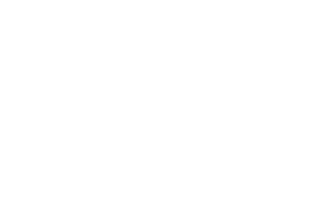 Manpower transparent